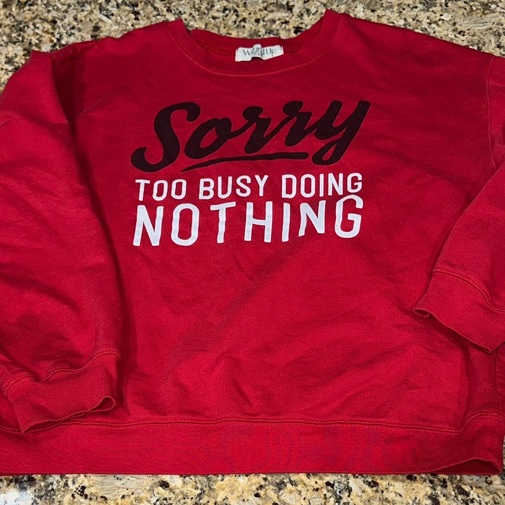 Wild Fable Red Graphic Pullover
